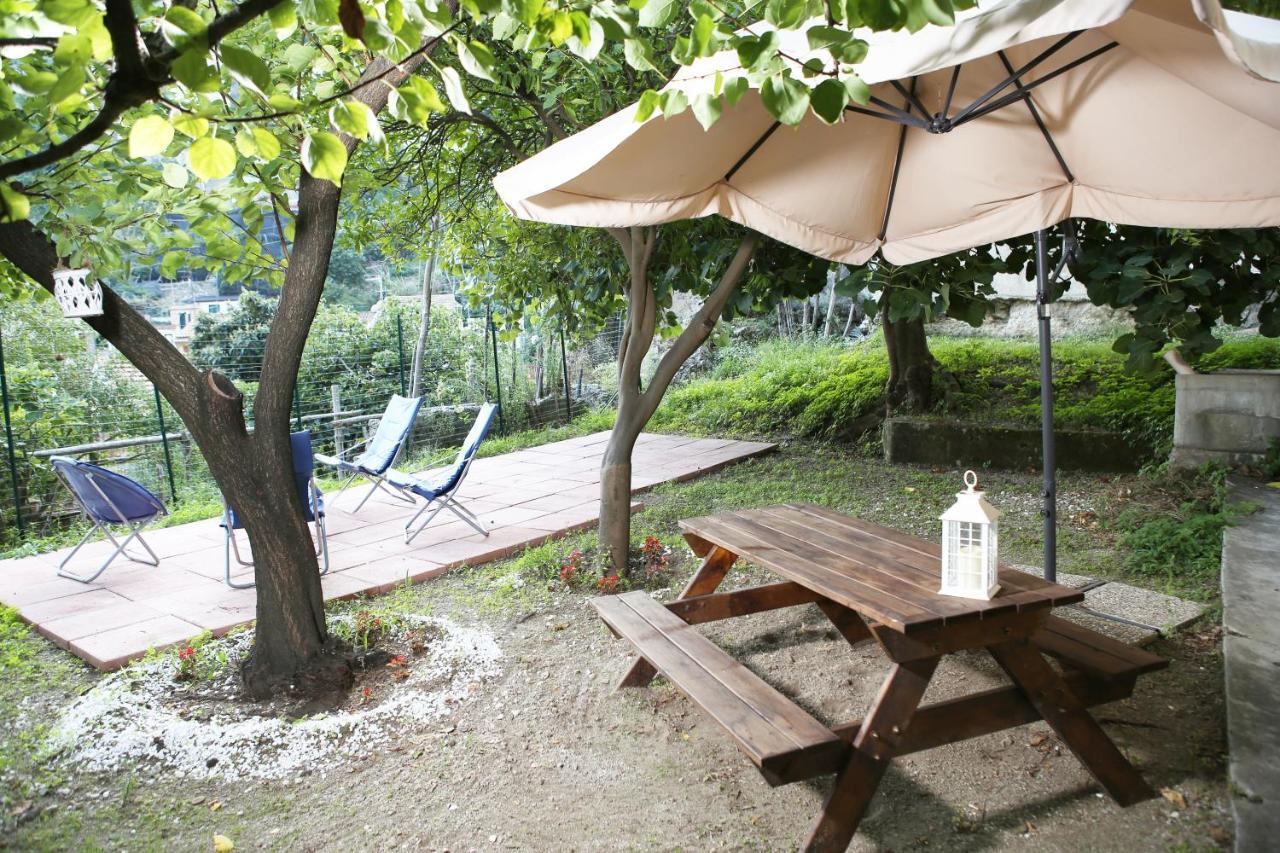 Casa Rosa Appartamento Con Giardino Cetara Dış mekan fotoğraf